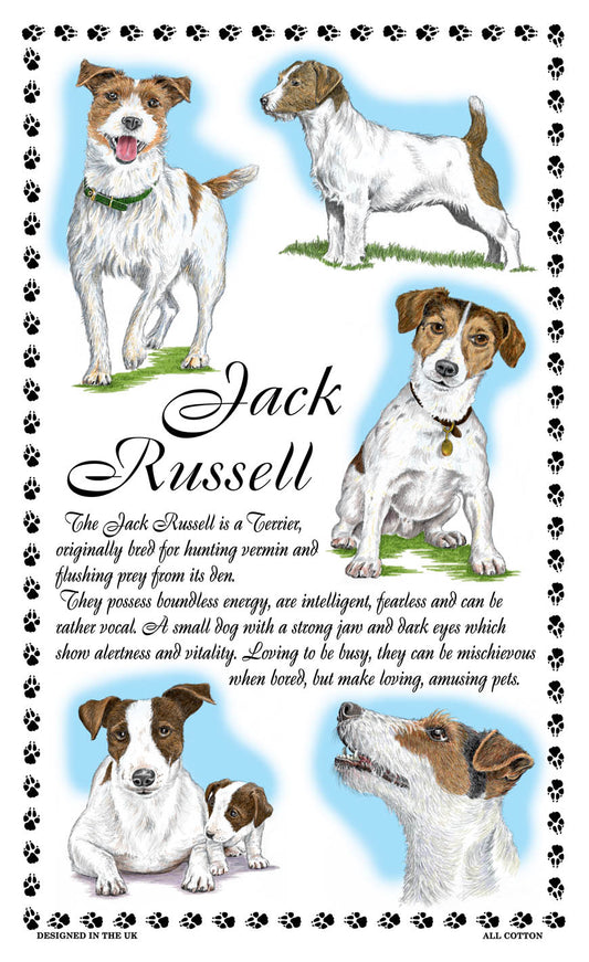 0382 - Jack Russell Tea Towel