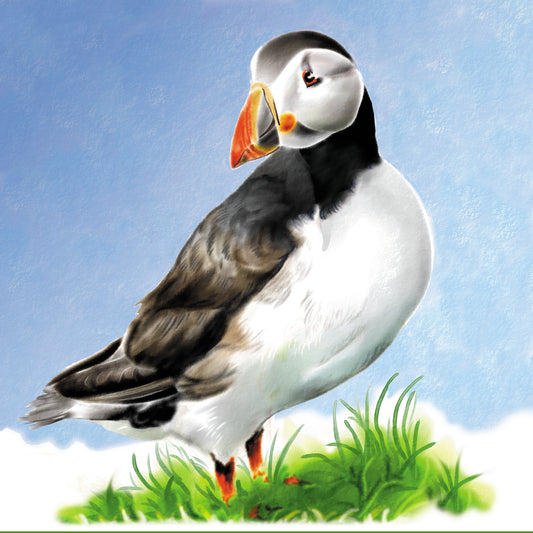 0000 - Puffin Watercolour