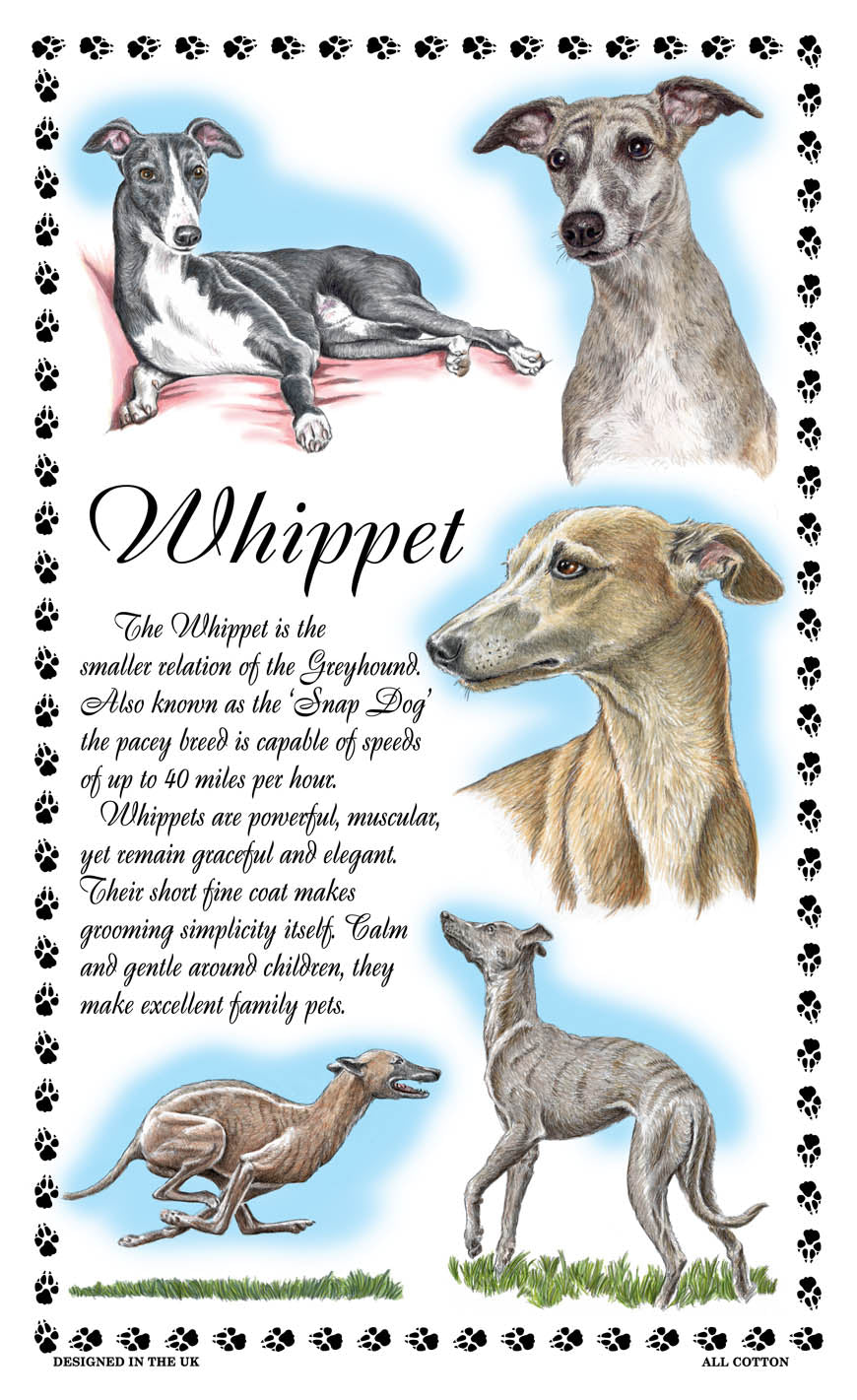 0391 - Whippet Tea Towel