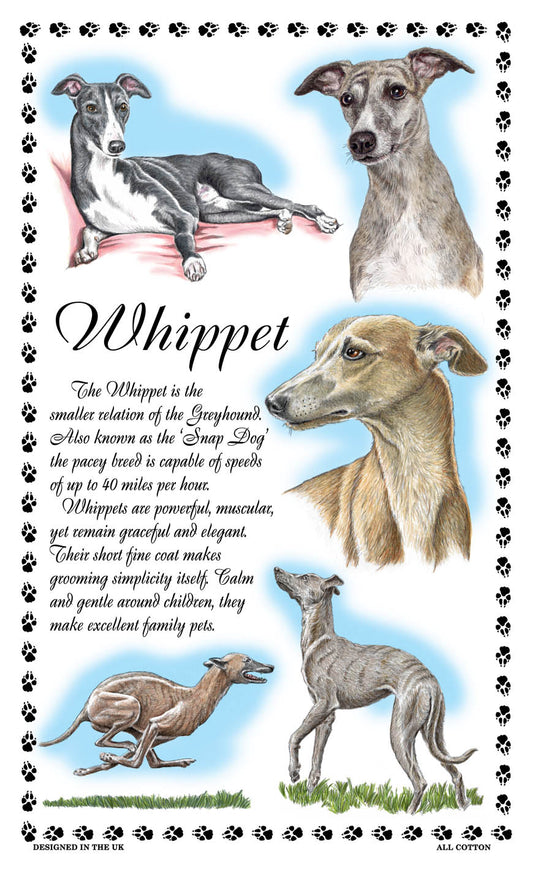 0391 - Whippet Tea Towel